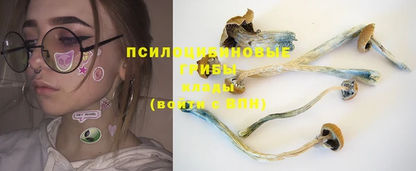 первитин Алексеевка