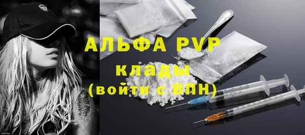 винт Алексин
