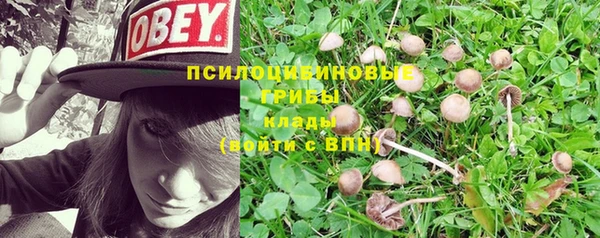 первитин Алексеевка