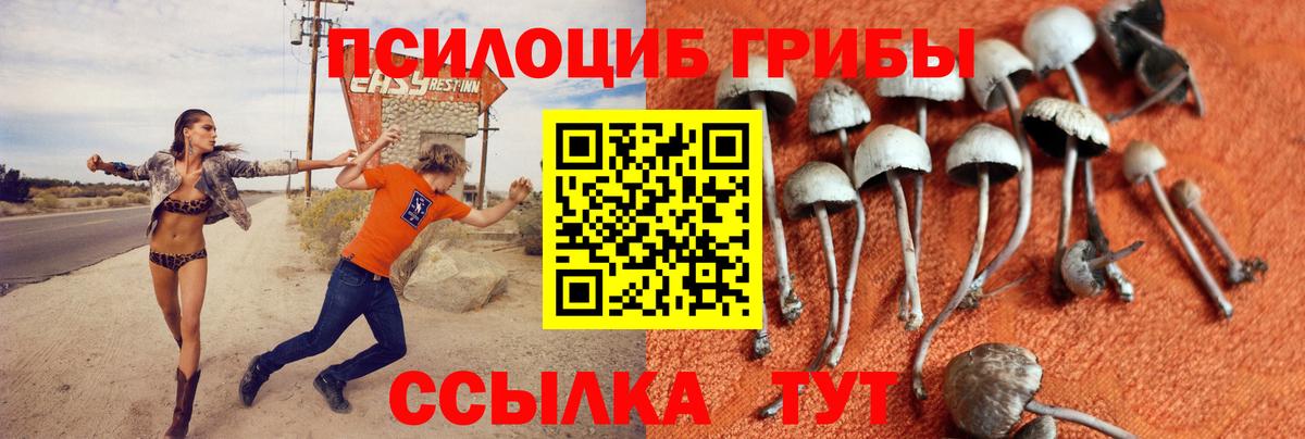 Псилоцибиновые грибы Magic Shrooms Старая Купавна